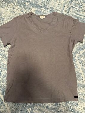 Diesel Men's V-Neck Tee in Taupe Gray